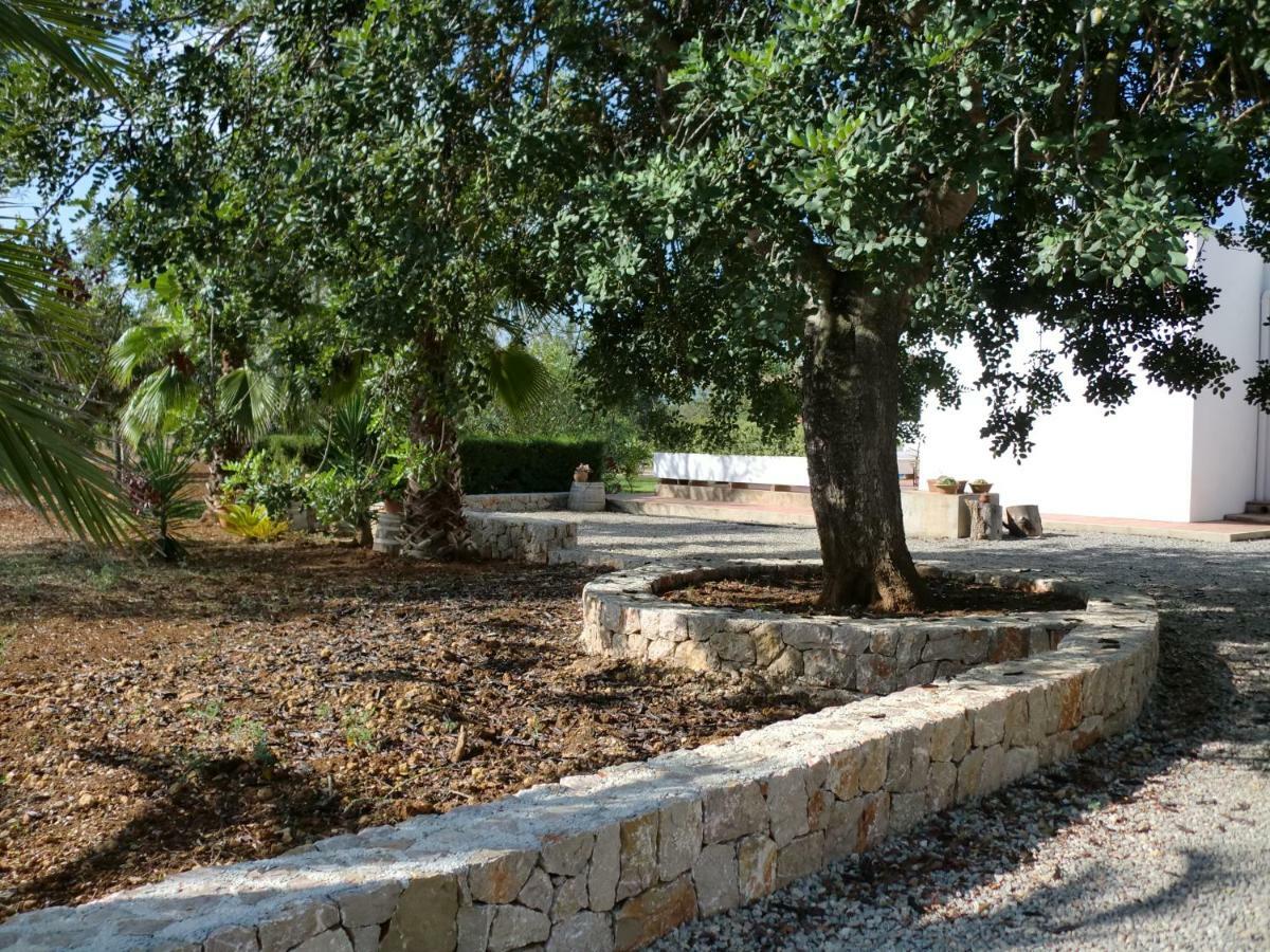 Villa Sa Vinyeta Sant Llorenc de Balafia Exterior photo